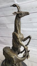 Two Gazelle Antelope Kudu Bronze Wildlife Sculpture