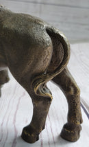 American Buffalo Bull Bison Bronze Metal Figure 8" x 11"