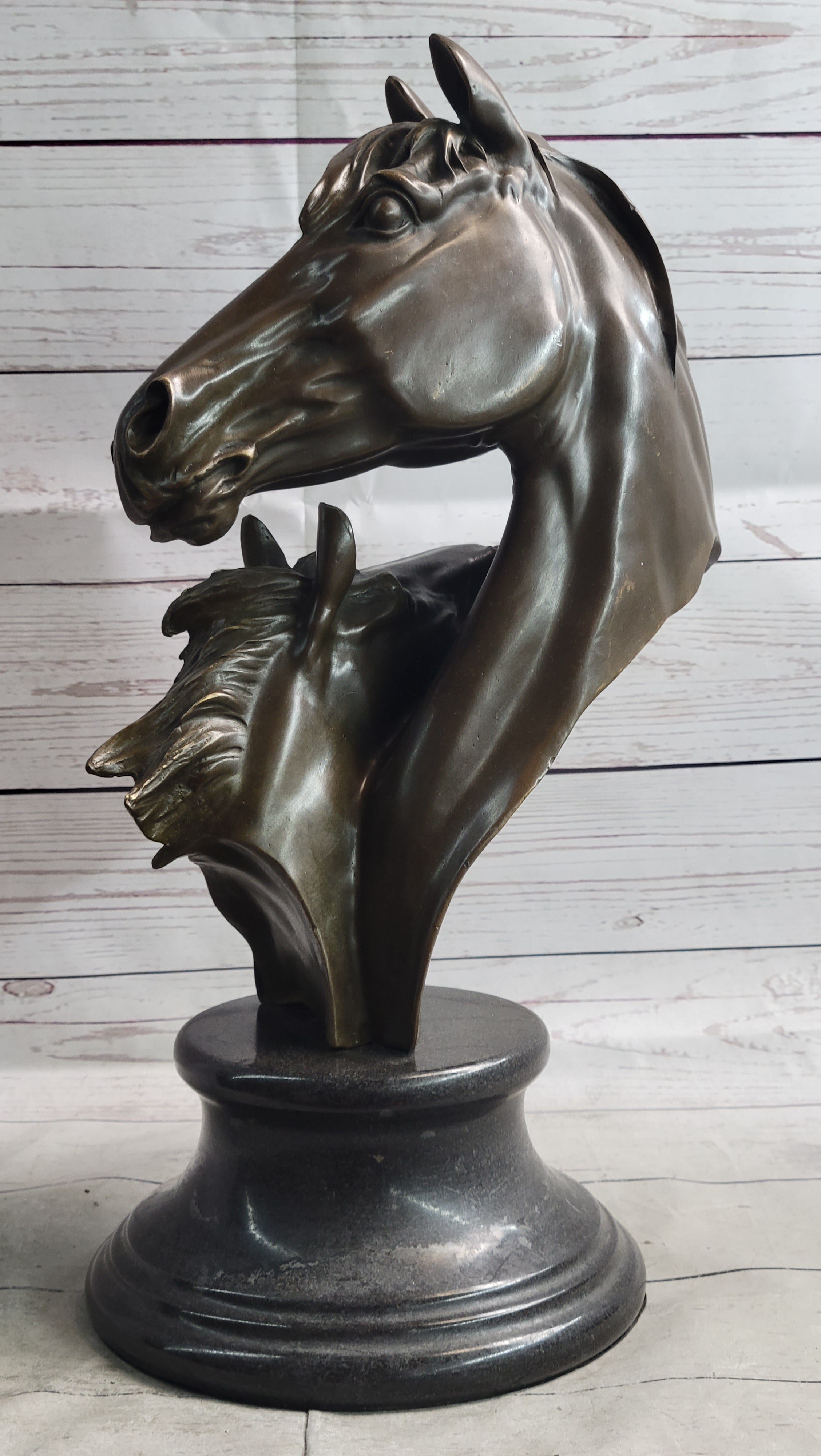 Necking Horses Bronze Bust Equestrian Art Signed