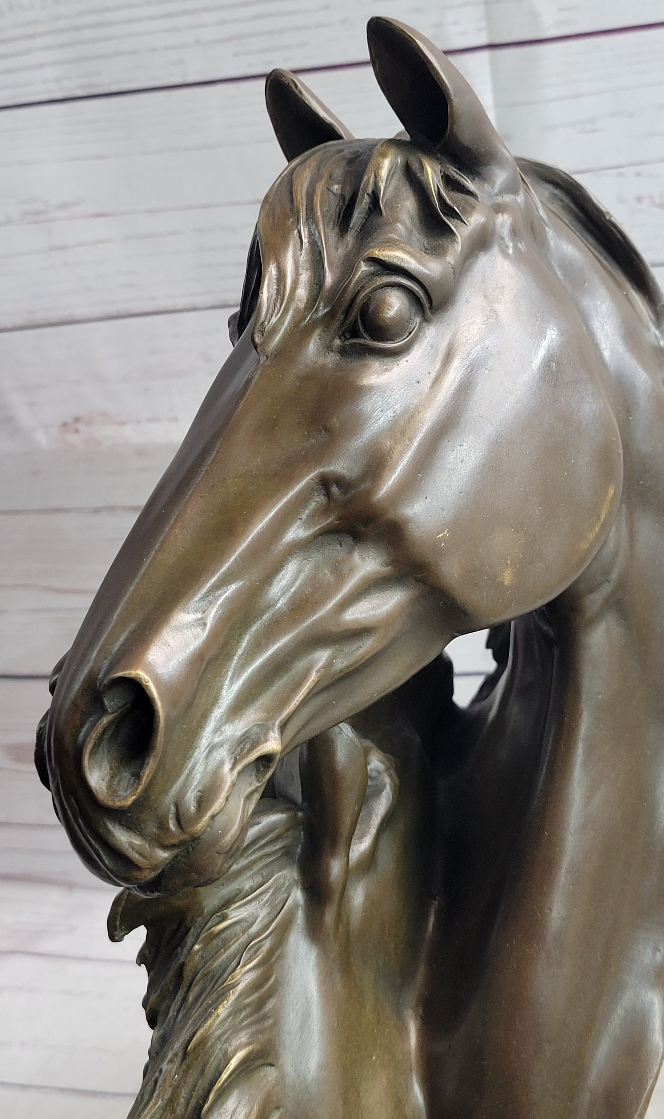 Necking Horses Bronze Bust Equestrian Art Signed
