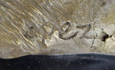 Horse at the Stable Bronze Sculpture Equestrian Art