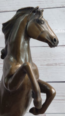 Rearing Horse Bronze Metal Sculpture Equestrian Art Signed