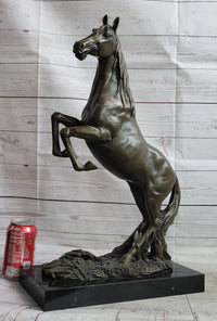 Rearing Arabian Horse Stallion Bronze Sculpture Equestrian