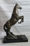 Rearing Arabian Horse Stallion Bronze Sculpture Equestrian