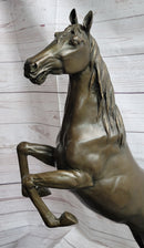 Rearing Arabian Horse Stallion Bronze Sculpture Equestrian
