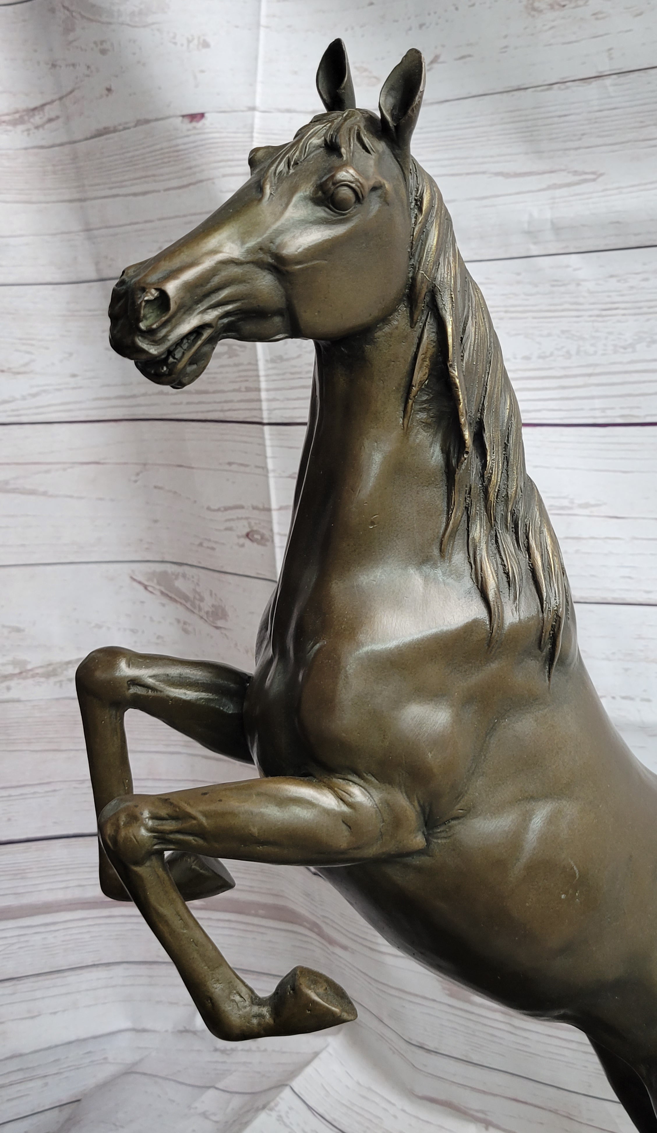 Rearing Arabian Horse Stallion Bronze Sculpture Equestrian