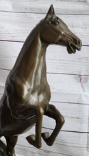 Rearing Arabian Horse Stallion Bronze Sculpture Equestrian