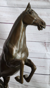 Rearing Arabian Horse Stallion Bronze Sculpture Equestrian