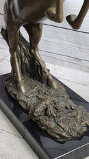 Rearing Arabian Horse Stallion Bronze Sculpture Equestrian