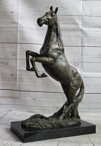 Rearing Arabian Horse Stallion Bronze Sculpture Equestrian