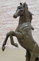 Rearing Stallion Horse Bronze Sculpture Signed Art