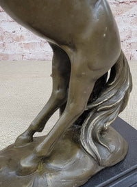 Rearing Stallion Horse Bronze Sculpture Signed Art