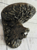 Heavy Solid Cast Bronze Wall Brackets Sconces Shelf Boars Acorns
