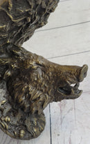 Heavy Solid Cast Bronze Wall Brackets Sconces Shelf Boars Acorns