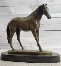 Arabian Horse Mare Bronze Sculpture on Marble Base