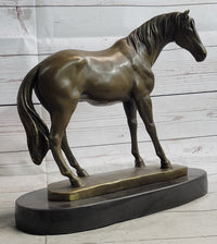 Arabian Horse Mare Bronze Sculpture on Marble Base