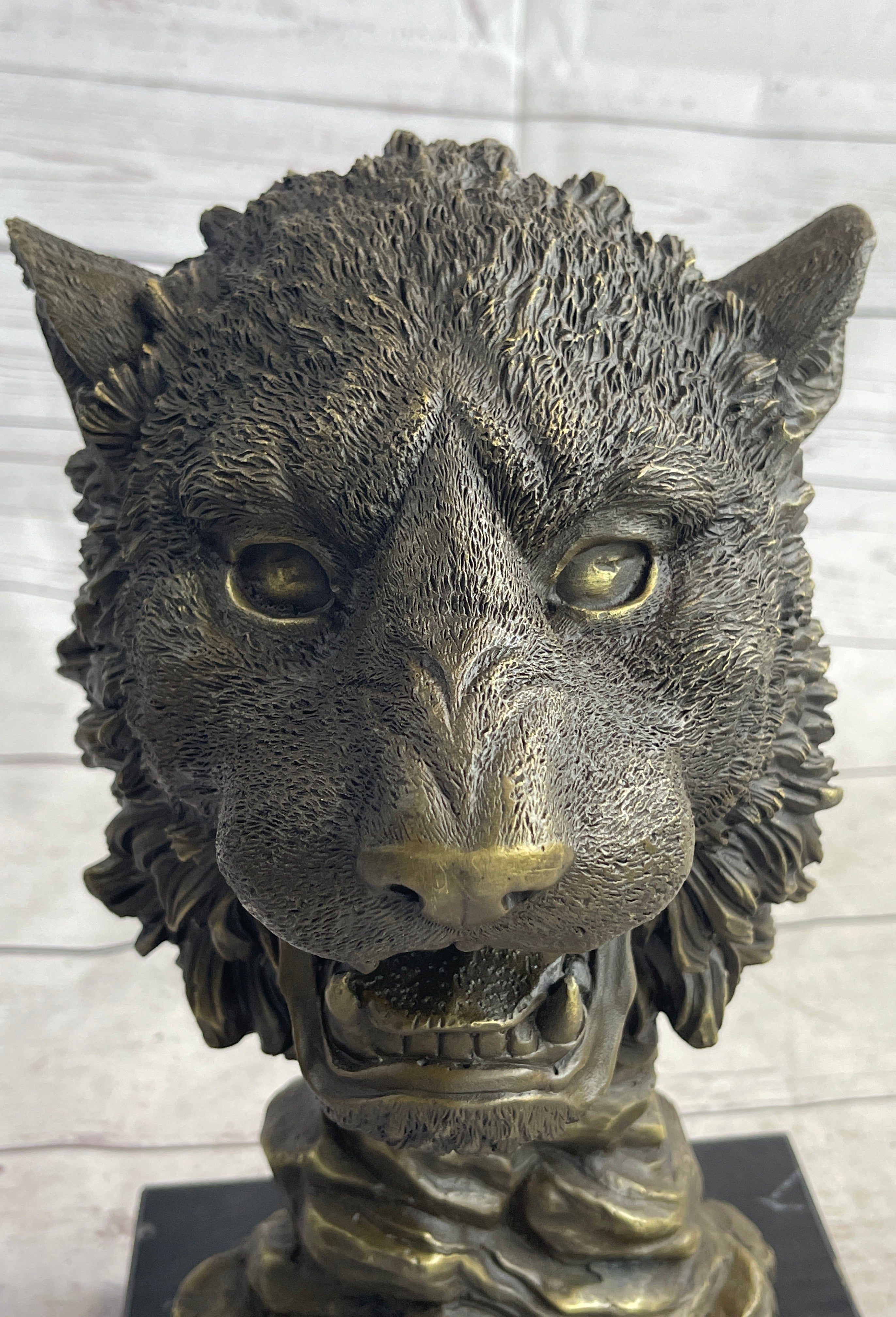 Cougar Lion Big Cat Predator Bust Bronze on Marble Base 12" x 7"