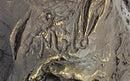 Eagle Bird Wildlife Art Deco Art Nouveau Bronze Sculpture