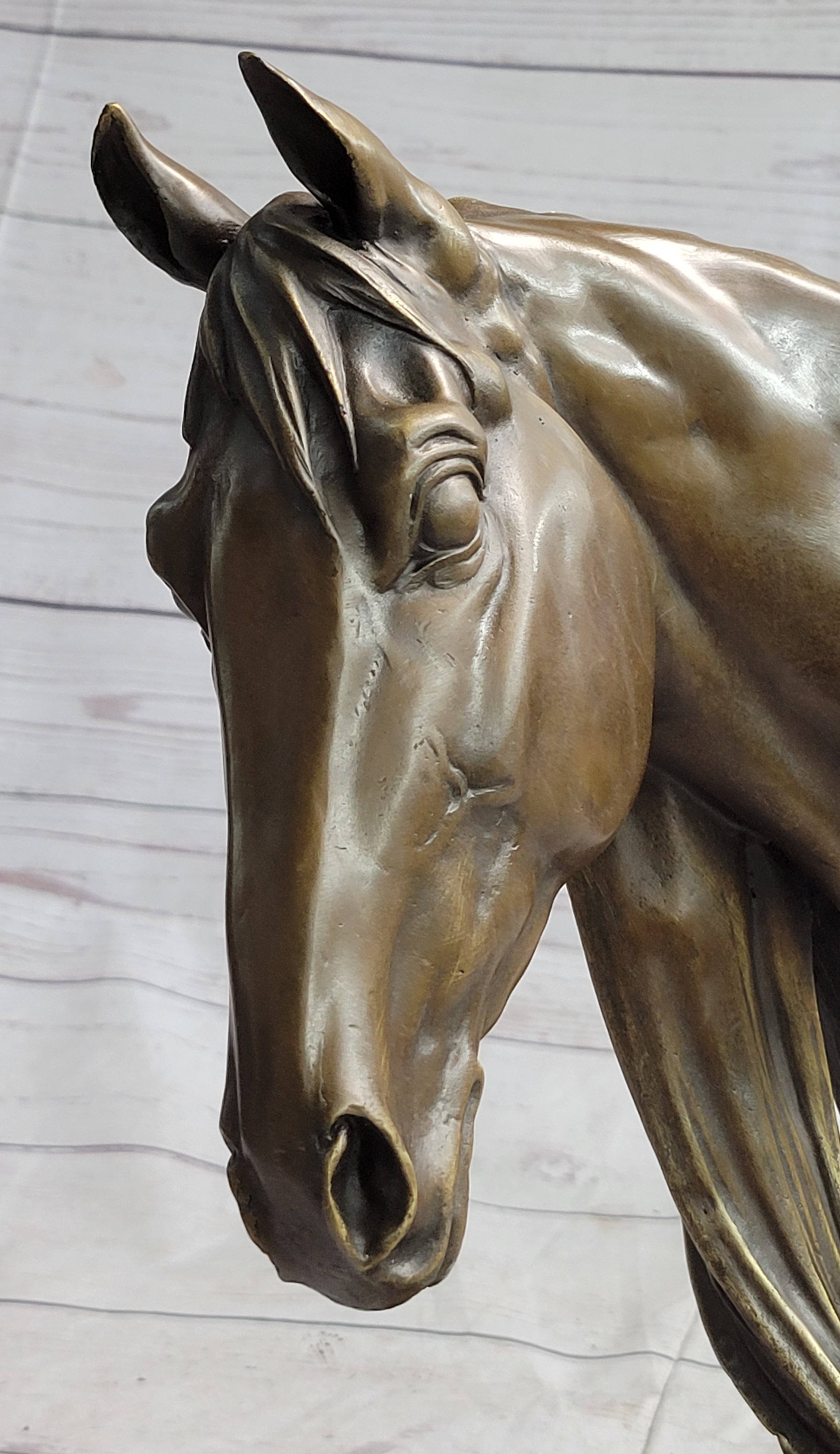 Horse Head Bust Equestrian Bronze Sculpture Signed 13" x 9"
