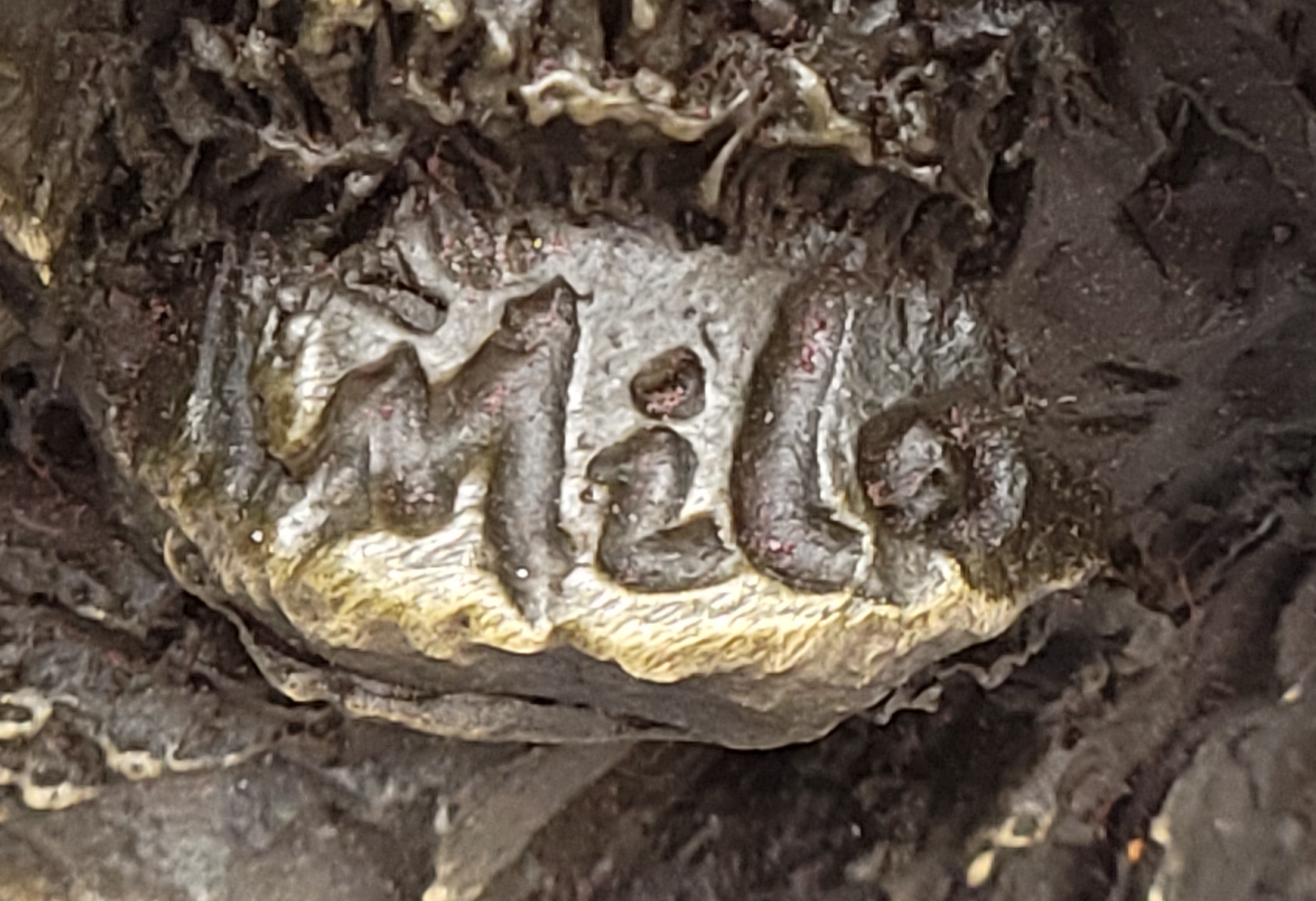 Eagles & Bear Hunting Fish Bronze Sculpture by Milo on Marble