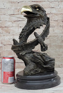 Milo Eagle Falcon Head Genuine Bronze Sculpture