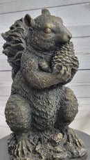 Squirrel Eating an Acorn Bronze Sculpture Marble Base