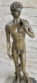 Michelangelo's David Bronze Miniature Replica 18" x 5"
