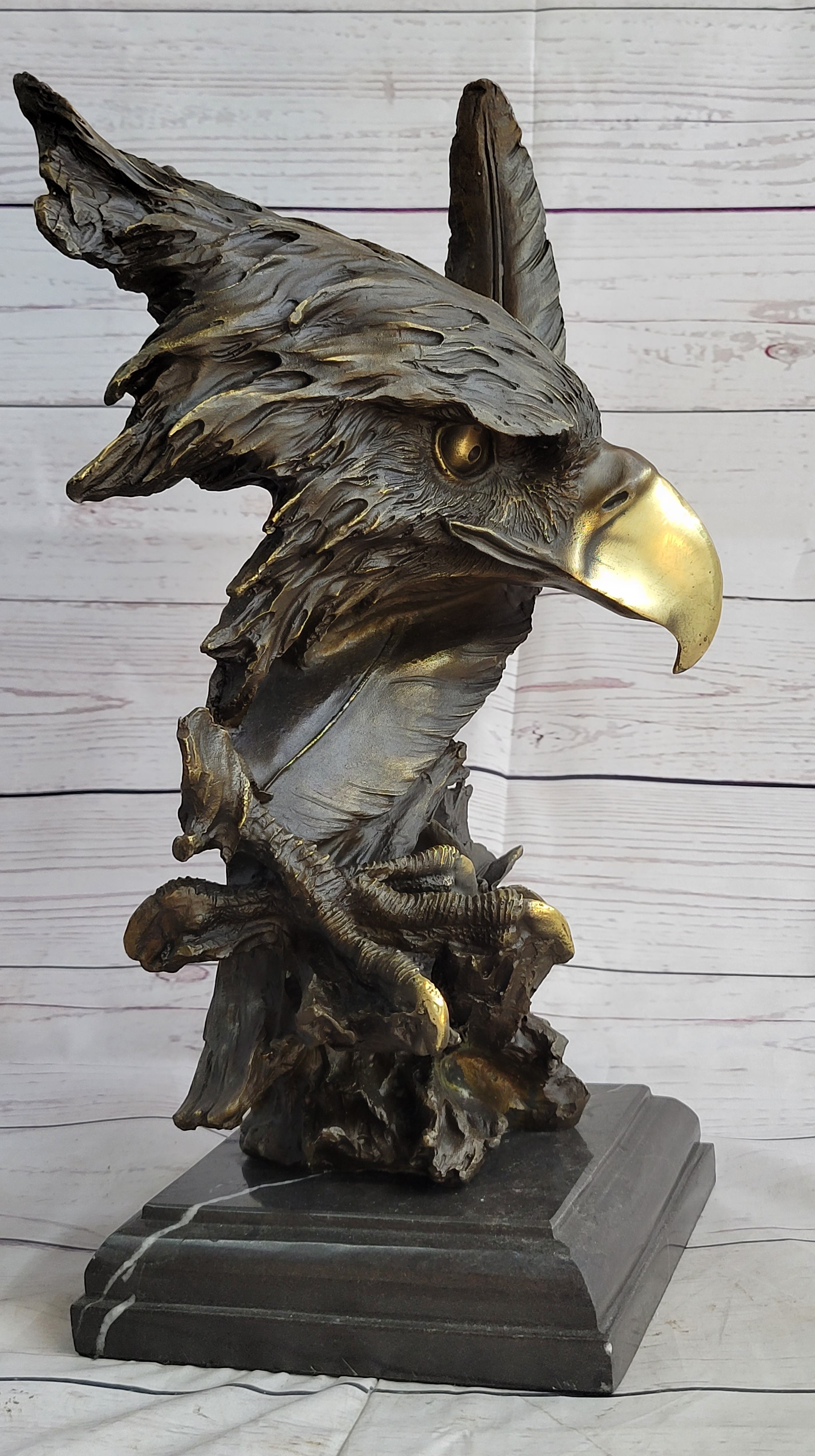 Abstract Eagle Bust w/ Talon and Feather Bronze 15" x 11"