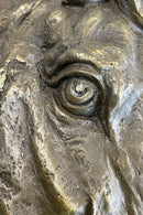 Horse Head Portrait Bronze Sculpture Plaque 16" x 16"