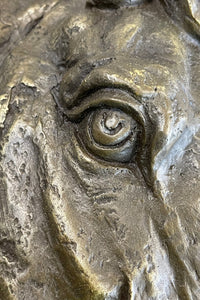 Horse Head Portrait Bronze Sculpture Plaque 16" x 16"