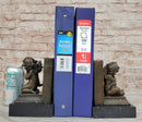 Puti Baby Angel Bookends by Augustine Moreau