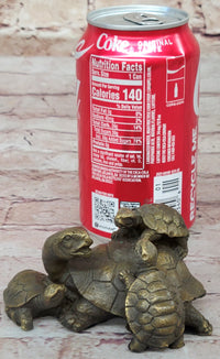 Turtle Family 3 Turtles Bronze Metal Sculpture by Milo