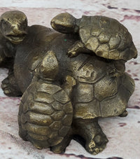 Turtle Family 3 Turtles Bronze Metal Sculpture by Milo
