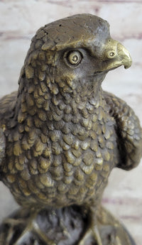 Guardian Eagle Hawk Bird Bronze Sculpture 12" x 9"
