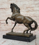 Bronze Rearing Horse – Majestic Stallion on Marble Base