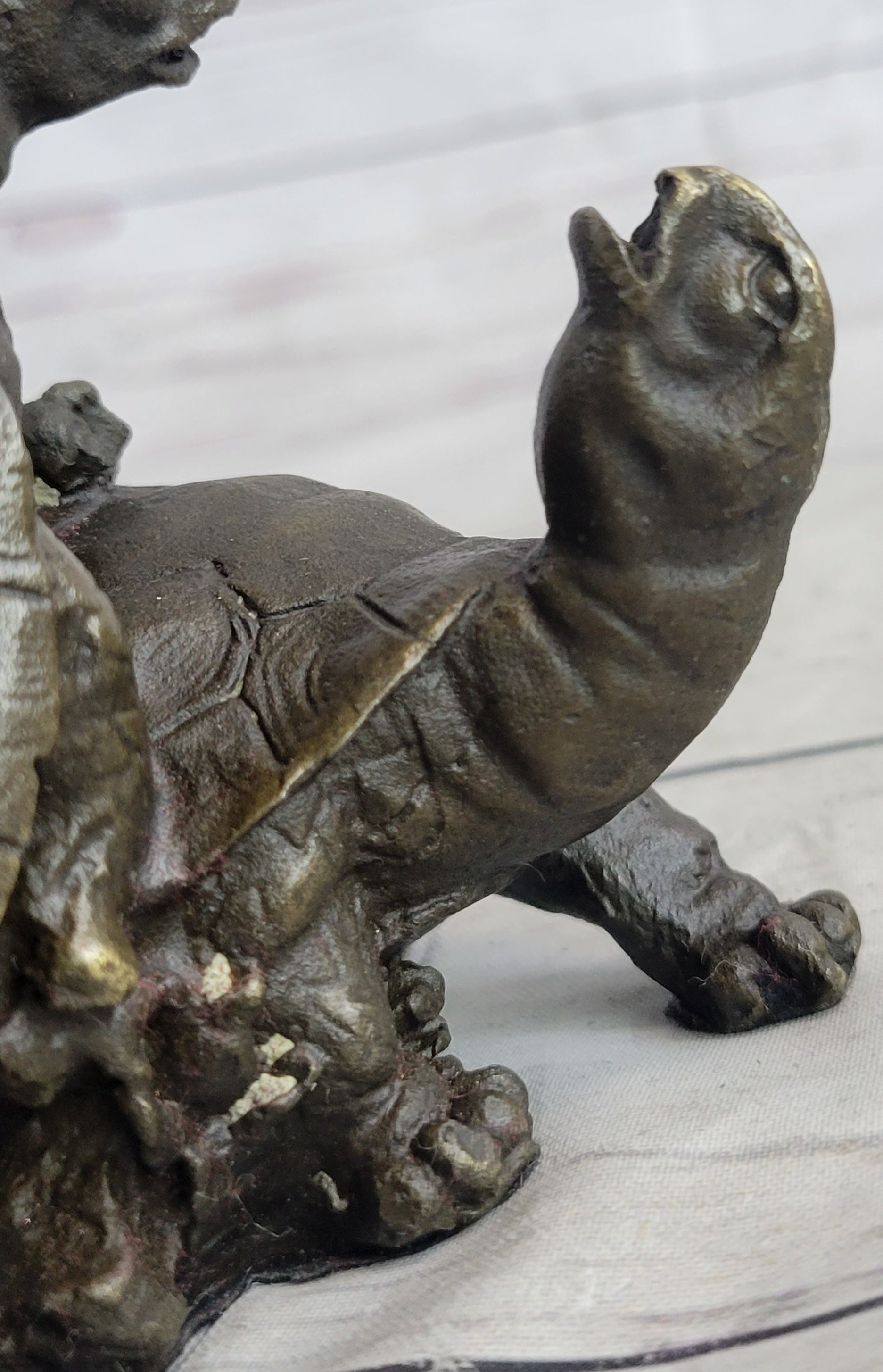 Two Turtle Sharing Love Bronze Sculpture