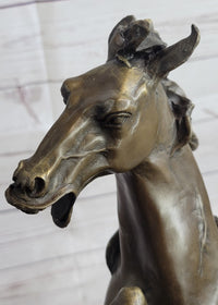 Hot Cast Bronze Rearing Stallion Horse Bronco Art Sculpture