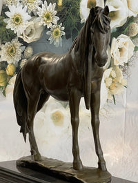 Signed Extra Large Arabian Horse Race Bronze Sculpture
