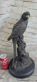 Hot Cast Bronze Parrot Bird Sculpture Signed Art on Marble Base