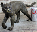 Bronze Metal Cat Kitten Housecat Sculpture Feline Art Signed