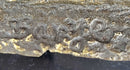 Standing Lion Bronze Sculpture on Marble Base