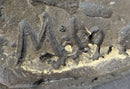 Bronze Cowboy Taming Rearing Horse – Western Art