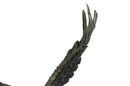 Flying High American Eagle Bronze Sculpture by Milo