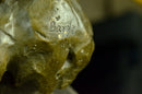 Polar Bear Bronze Sculpture Marble Lost Wax Method